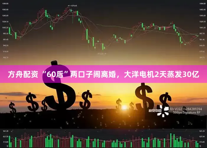 方舟配资 “60后”两口子闹离婚，大洋电机2天蒸发30亿